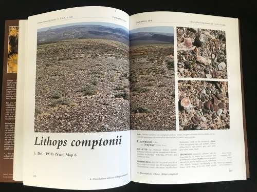 Lithops: Flowering Stones. Desmond Cole and Naureen Cole - SCARCE AUTOGRAPHED BOOK