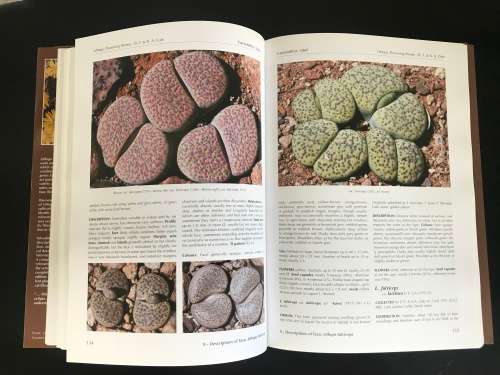 Lithops: Flowering Stones. Desmond Cole and Naureen Cole - SCARCE AUTOGRAPHED BOOK