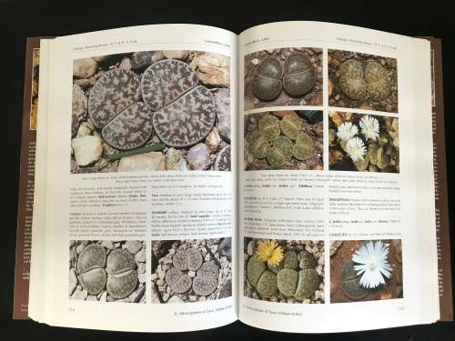 Lithops: Flowering Stones. Desmond Cole and Naureen Cole - SCARCE AUTOGRAPHED BOOK