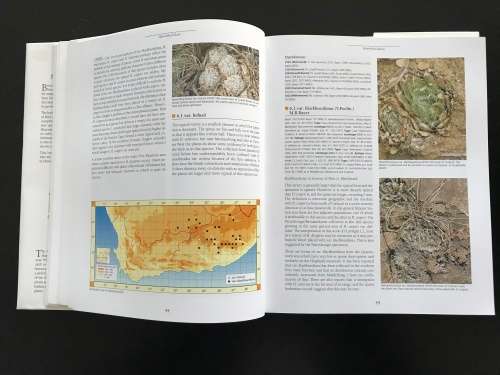 Haworthia Revisited: A Revision of the Genus - Bruce Bayer