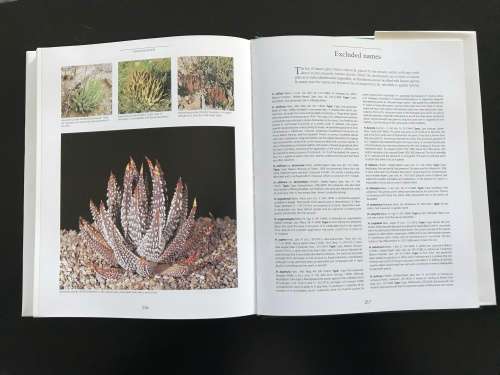 Haworthia Revisited: A Revision of the Genus - Bruce Bayer