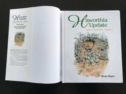 Haworthia Update: Essays on Haworthia Volume 1 - Bruce Bayer