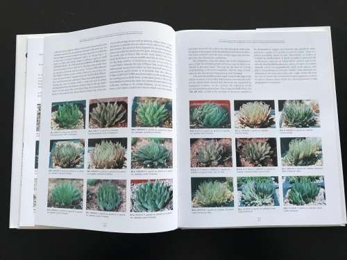 Haworthia Update: Essays on Haworthia Volume 1 - Bruce Bayer