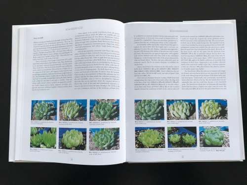 Haworthia Update: Essays on Haworthia Volume 1 - Bruce Bayer