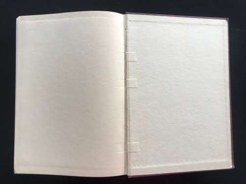 The Succulent Euphorbieae (Southern Africa) 1941 classic work - Volume II - White, Dyer and Sloane.