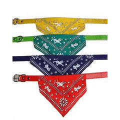 !!! Ultra Mod Doggie Collar - Set of 3 Assorted Colors -  ONLY R35 per Set