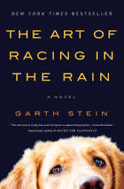 THE ART OF RACING IN THE RAIN by Garth Stein