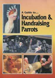 A GUIDE TO INCUBATION & HANDRAISING PARROTS by Phil Digney