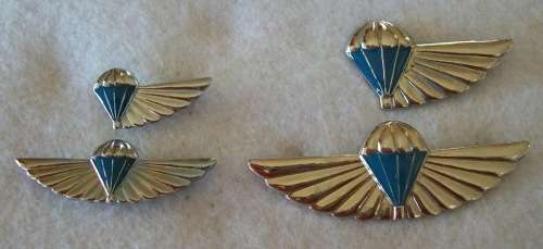 Full set of 101 Air Supply Company Instructor & Despatcher wings - (Regular & Mess Dress size)