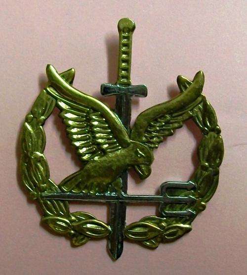 SAP, Special Task Force - Operator badge (1st type) - original (numbered)