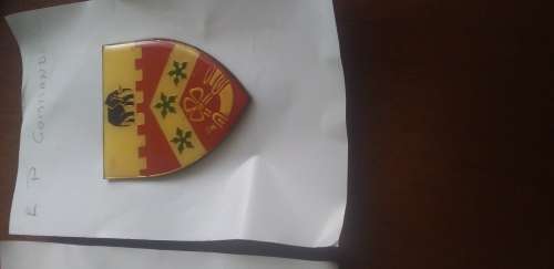 Medals and badges