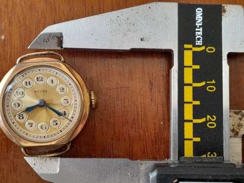 Ladies wind up watches