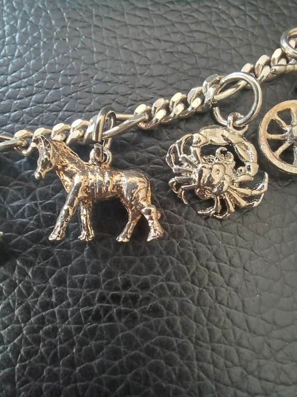 Sterling Silver Charm Bracelet