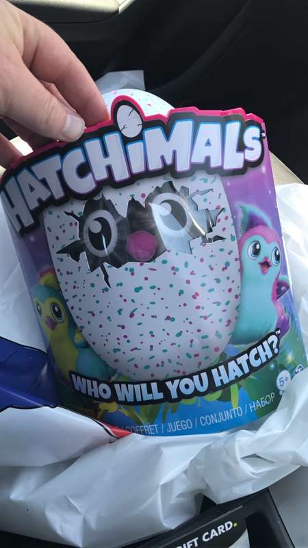Hatchimals