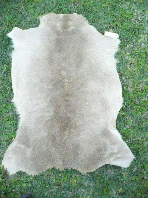 ANTELOPE HIDE APPROX 880 MM X 580 MM