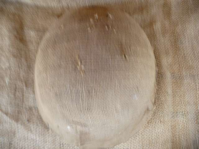 SADF "BORDER  WAR  PERIOD"  STEEL HELMET  (STAALDAK) COVERED WITH HESSIAN
