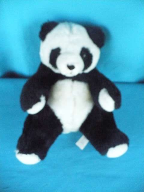 PANDA  BEAR