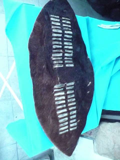 ZULU CEREMONIAL SHIELD