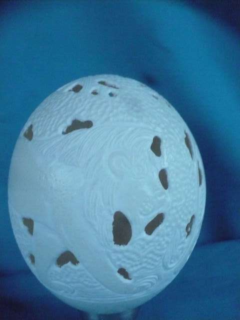 OSTRICH EGG  CARVED