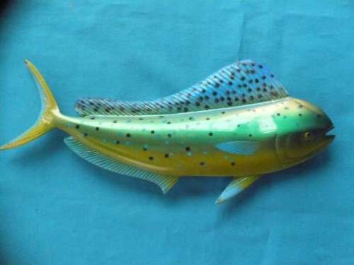 FIBLE GLASS CAST WALL HANGING  "DORADO"  FISH