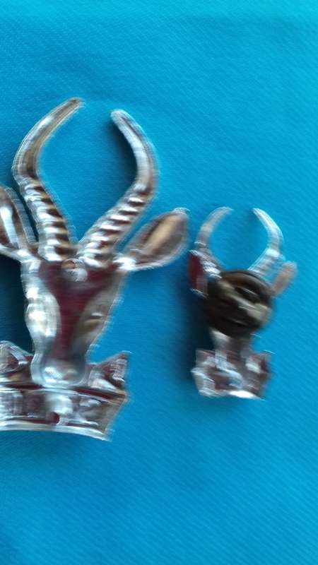 2 SADF        INFANTRY BADGES