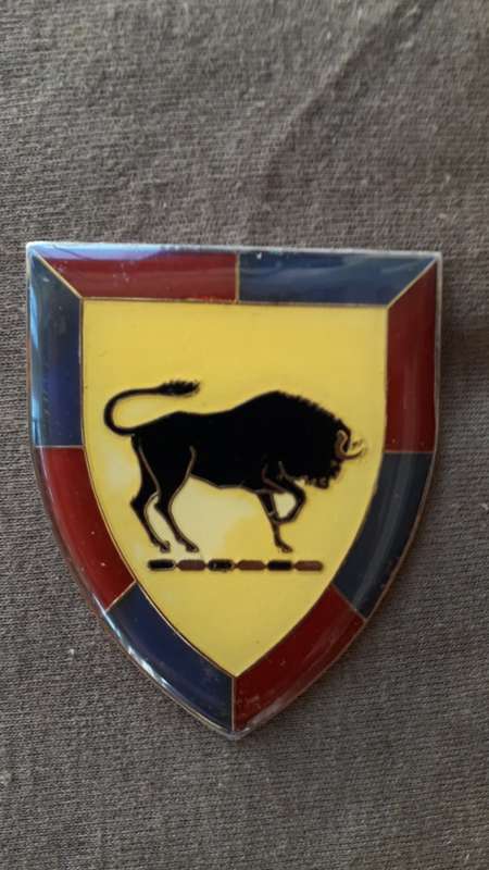 SADF METAL FLASH      SA ARMY COLLEGE        0 PINS