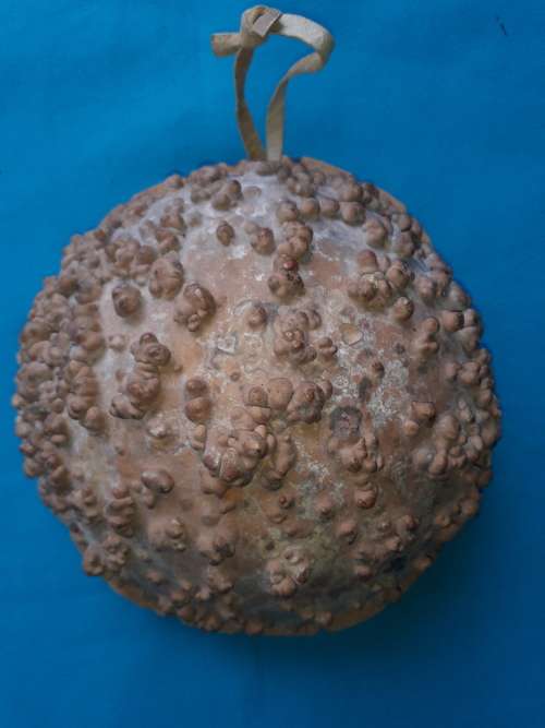 AFRICAN CALABASH GOURD KALIMBA