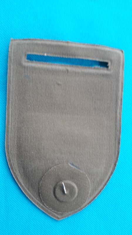 SADF  REGIMENT DAN PIENAAR   TUPPER WARE FLASH