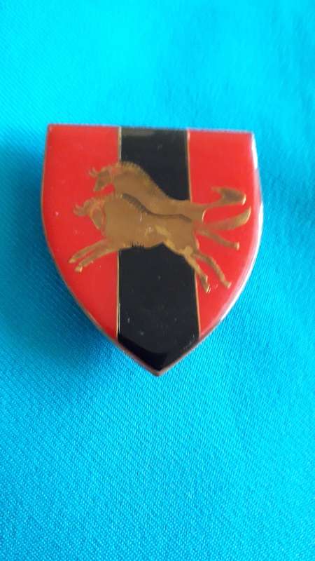 SADF  'NATAL COMMAND PRO  UNIT'  METAL  FLASH