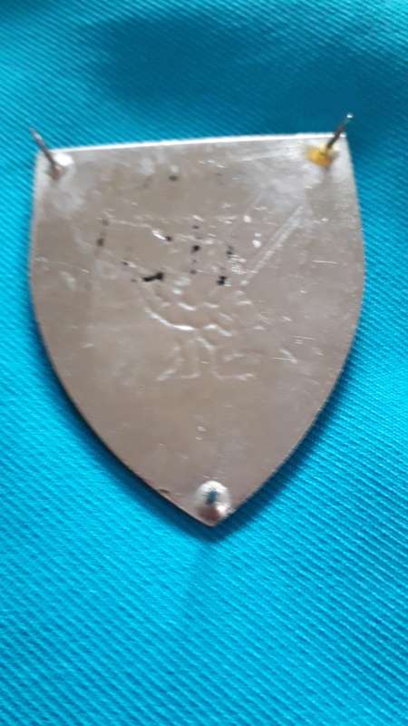 DANIE THERON COMBAT SCHOOL METAL FLASH