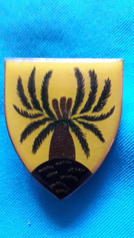 SADF  SHOULDER  FLASH   '4 SA INFANTRY BATTALION '  3 PINS