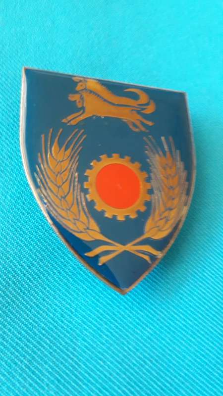 SADF  SHOULDER   FLASH  NATAL COMMAND MAINTENANCE UNIT   3 PINS