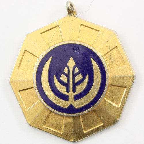 Pro Patria - Full Size Medal