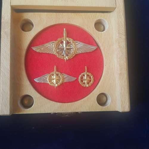 RECCE limited edition collectors  operator badges in gold.