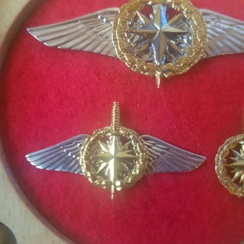 RECCE limited edition collectors  operator badges in gold.