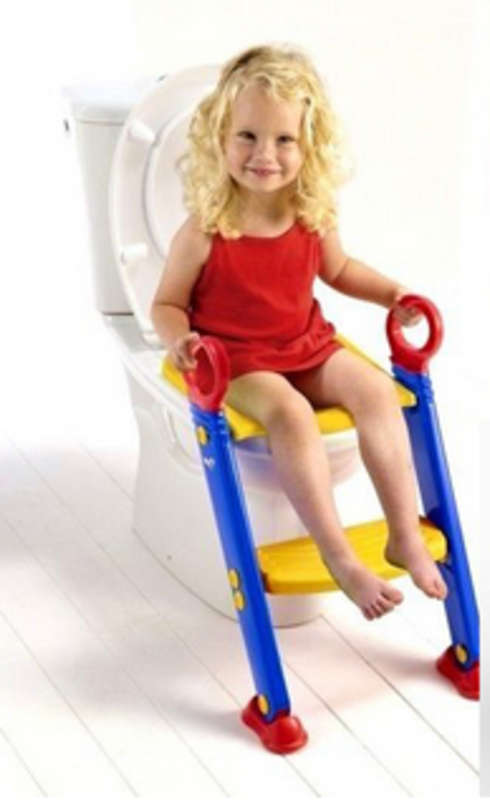 Toilet ladder chair