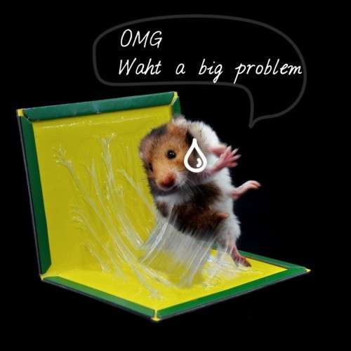Mouse Rat Bond Traps Glue Trap