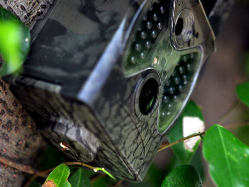 Q-300M Digital Trail Camera 1080P USB FHD VIDEO FULL