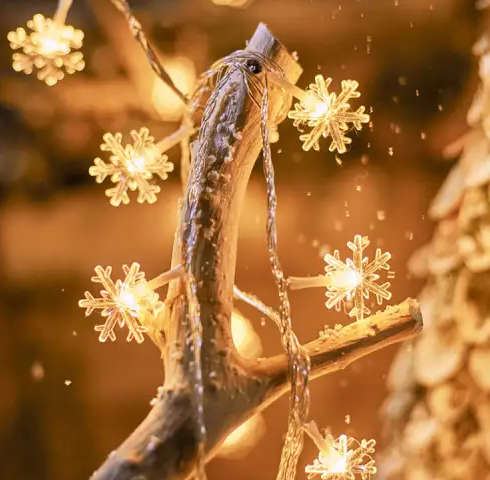5M Snowflake Light String Extension Warm White
