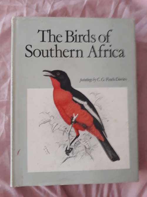 Rare Birds and the birds of Souther Africa
