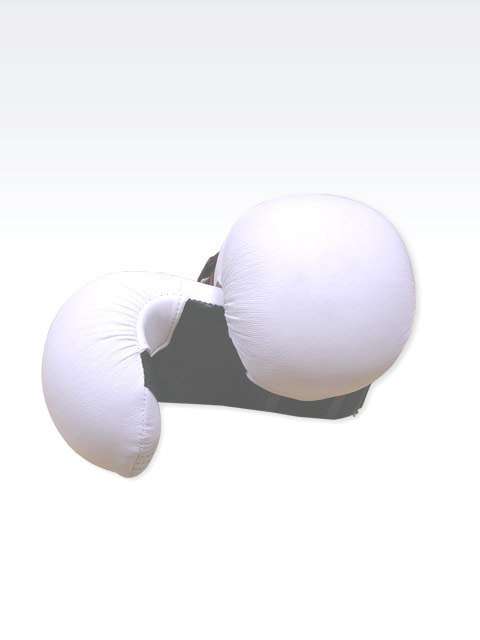 KARATE MITTS