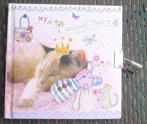 MY SECRET DIARY (CAT) - PERFECT FOR GIRLS BIRTHDAY GIFT!!!
