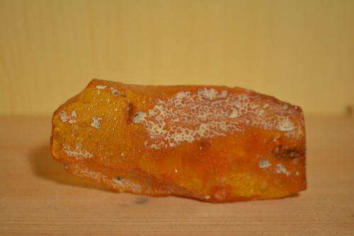 Lump of amber, untreated, Baltic Sea