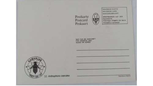 1987 - SWA Useful Insects -  Maximum Cards
