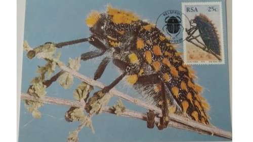 1987 - RSA Beetles -  Maximum Cards