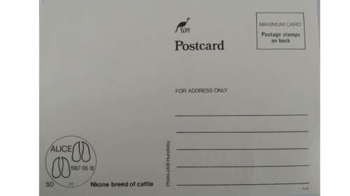 1987 - Ciskei Nkone Cattle -  Maximum Cards