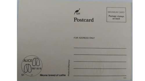 1987 - Ciskei Nkone Cattle -  Maximum Cards