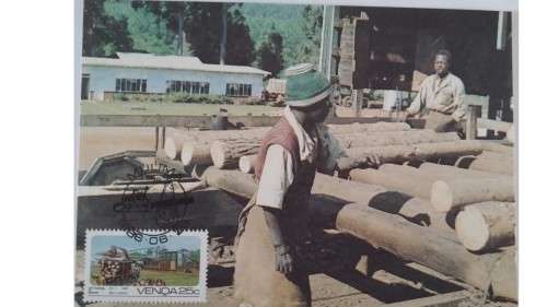 1986 - Venda Forestry -  Maximum Cards