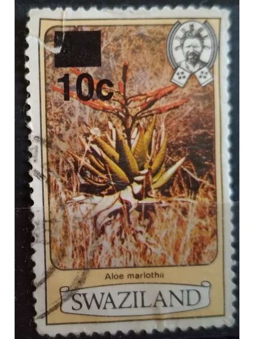 1984 - Swaziland -  1980 issue surcharged - 10c -  note small tear - Aloe marlothii