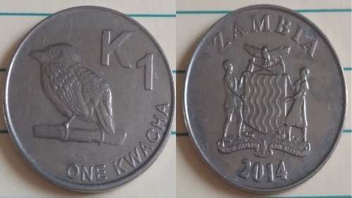 2014 - Zambia - One Kwacha - Zambian Barbet - Demonetised No -Nickel Plated Steel